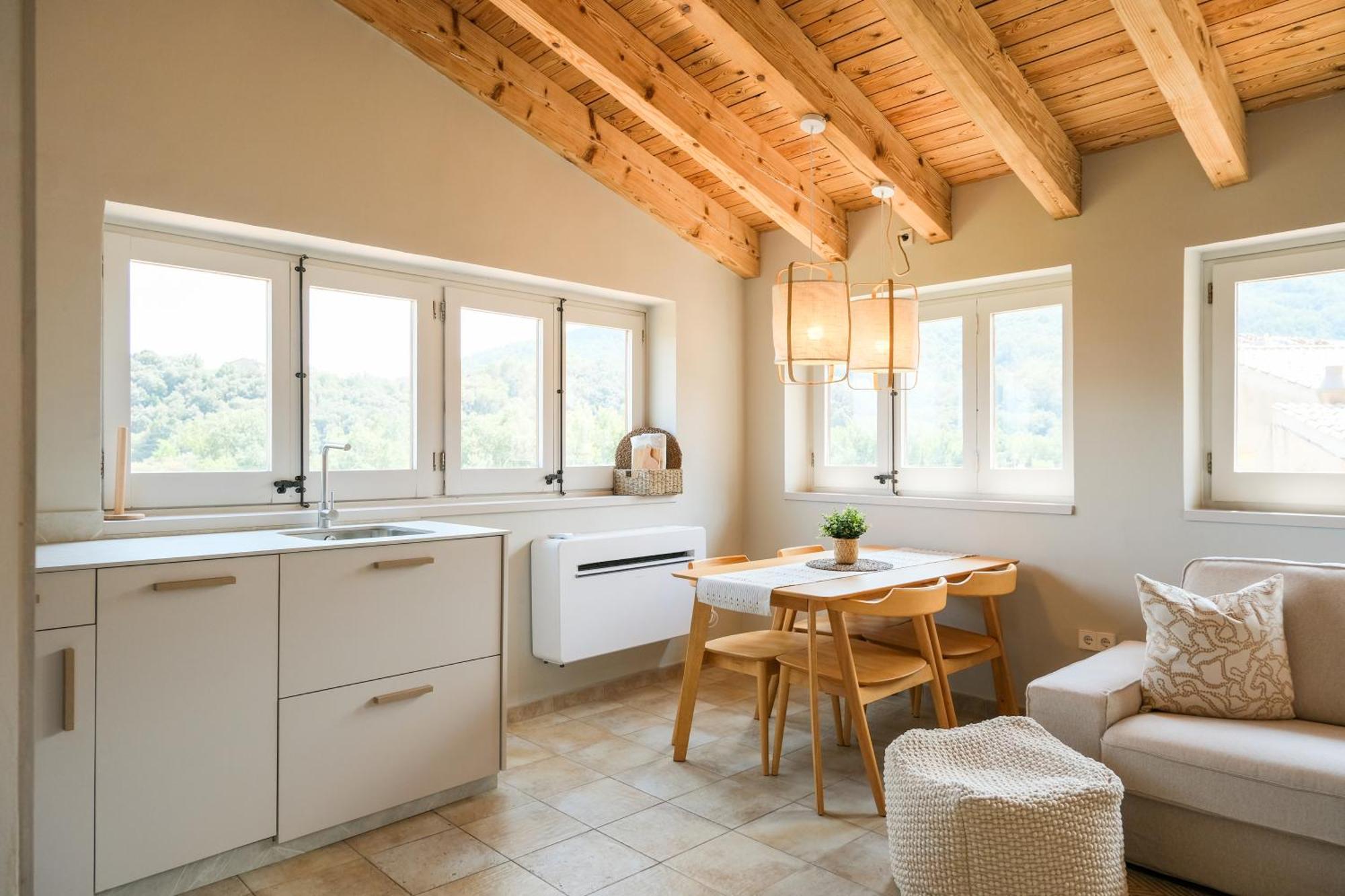 Latic Del Portalet Vistas Al Puente De Apartament Besalú